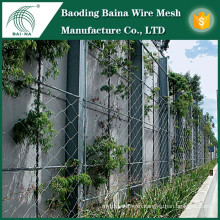 Stainless Steel Rope Mesh/ Plant Support Netting China Supplier